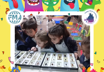 🐛¡Insectos al rescate!🪱